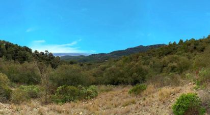 Terreno de 486.725 m² en Figuerola del Camp (43811)