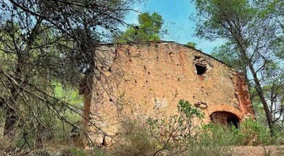Terreno de 486.725 m² en Figuerola del Camp (43811)