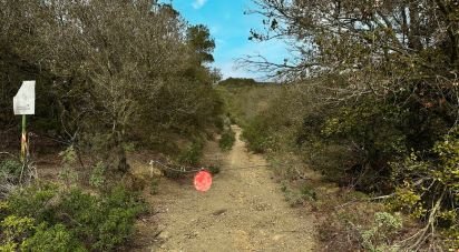 Terreno de 486.725 m² en Figuerola del Camp (43811)