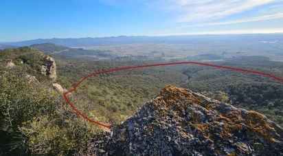 Terreno de 486.725 m² en Figuerola del Camp (43811)