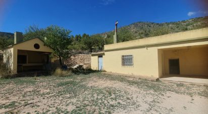 Other surface of 20,000 m² in Salinas (03638)