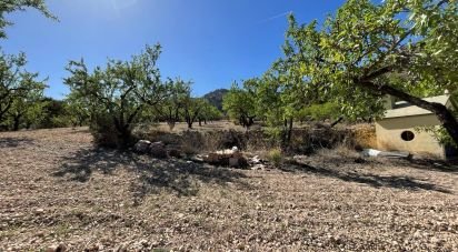 Other surface of 20,000 m² in Salinas (03638)