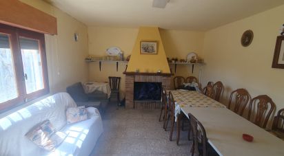 Other surface of 20,000 m² in Salinas (03638)