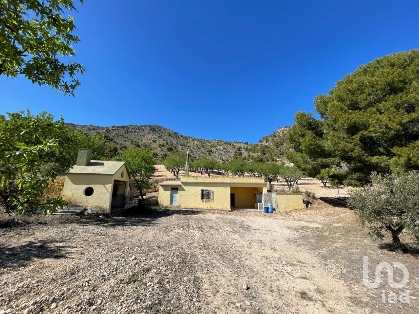 Other surface of 20,000 m² in Salinas (03638)