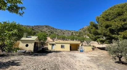 Other surface of 20,000 m² in Salinas (03638)