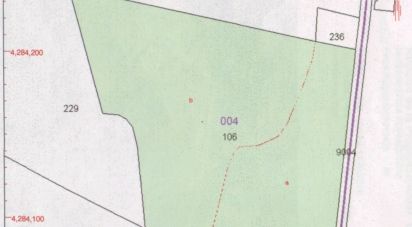 Land of 21,000 m² in Sant Francesc de Formentera (07860)