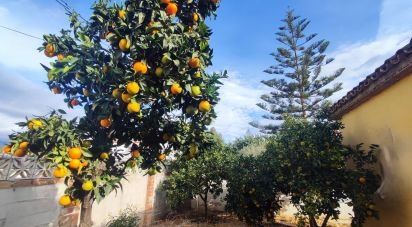 Building plot of 620 m² in Marbella (29604)