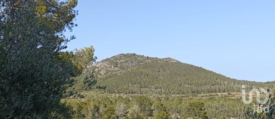 Casa rústica 2 habitacions de 75 m² a Tivissa (43746)