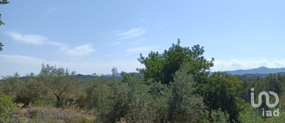 Casa rústica 2 habitacions de 75 m² a Tivissa (43746)