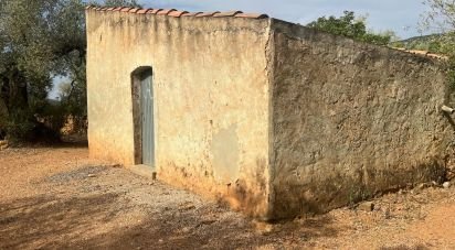 Land of 20,000 m² in Freginals (43558)