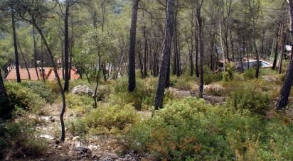 Land of 776 m² in Olivella (08818)