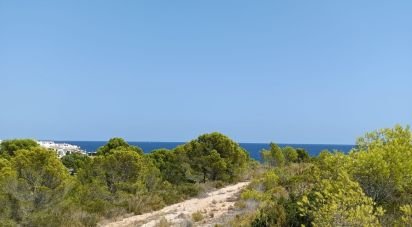 Terreno de 4.000 m² en L'Ametlla de Mar (43860)