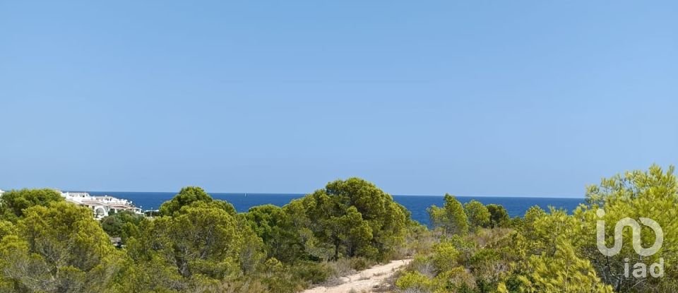 Terreno de 4.000 m² en L'Ametlla de Mar (43860)