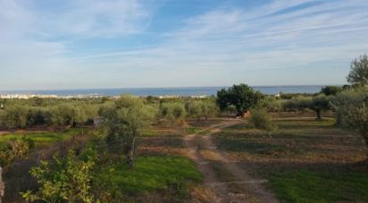 Land of 7,486 m² in Alcanar (43530)