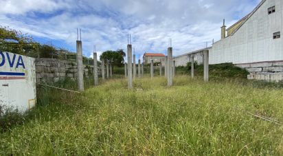 Terrain de 1 390 m² à Vilanova de Arousa (36620)