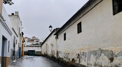 Shop / premises commercial of 246 m² in Alcalá del Río (41200)