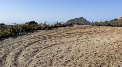 Land of 2,247 m² in Vilaflor (38613)