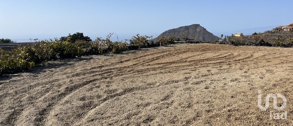 Land of 2,247 m² in Vilaflor (38613)