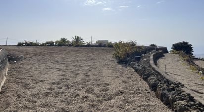 Land of 2,247 m² in Vilaflor (38613)