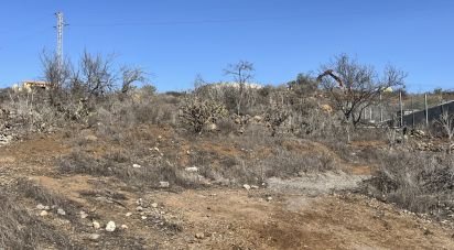 Land of 2,774 m² in Vilaflor (38613)