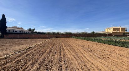 Land of 9,645 m² in Torredembarra (43830)