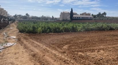 Land of 9,645 m² in Torredembarra (43830)