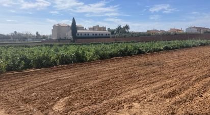 Land of 9,645 m² in Torredembarra (43830)