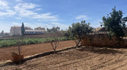 Land of 9,645 m² in Torredembarra (43830)