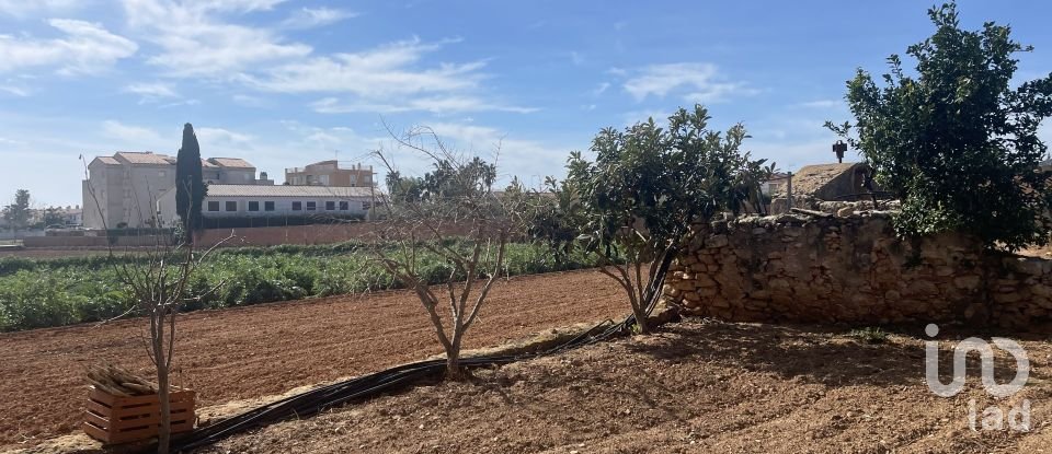 Land of 9,645 m² in Torredembarra (43830)