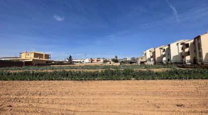 Land of 9,645 m² in Torredembarra (43830)