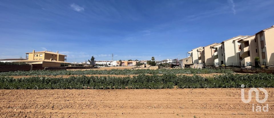 Land of 9,645 m² in Torredembarra (43830)