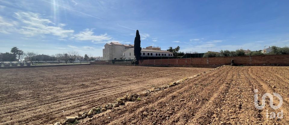 Land of 9,645 m² in Torredembarra (43830)