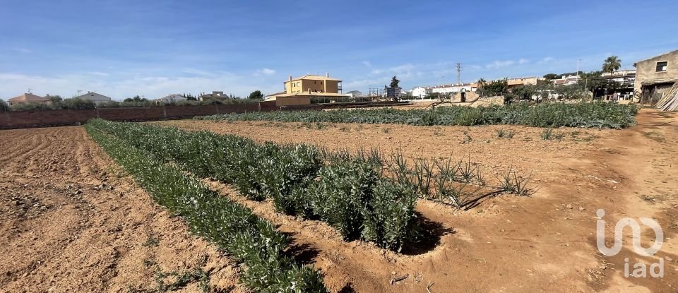 Land of 9,645 m² in Torredembarra (43830)