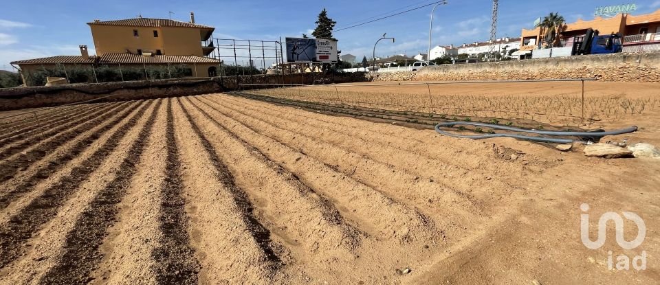 Land of 9,645 m² in Torredembarra (43830)