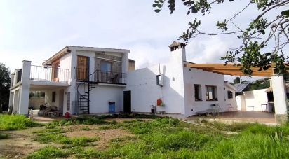 Land of 49,351 m² in L'Ametlla de Mar (43860)