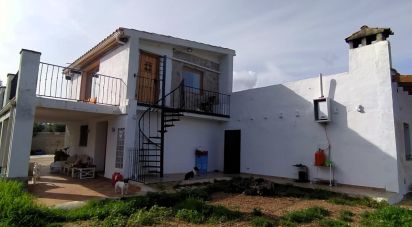 Land of 49,351 m² in L'Ametlla de Mar (43860)