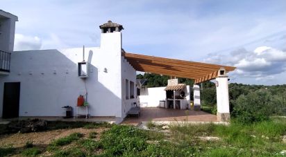 Land of 49,351 m² in L'Ametlla de Mar (43860)