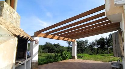 Land of 49,351 m² in L'Ametlla de Mar (43860)