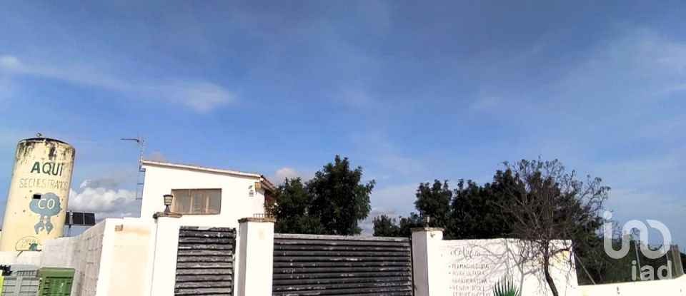 Land of 49,351 m² in L'Ametlla de Mar (43860)