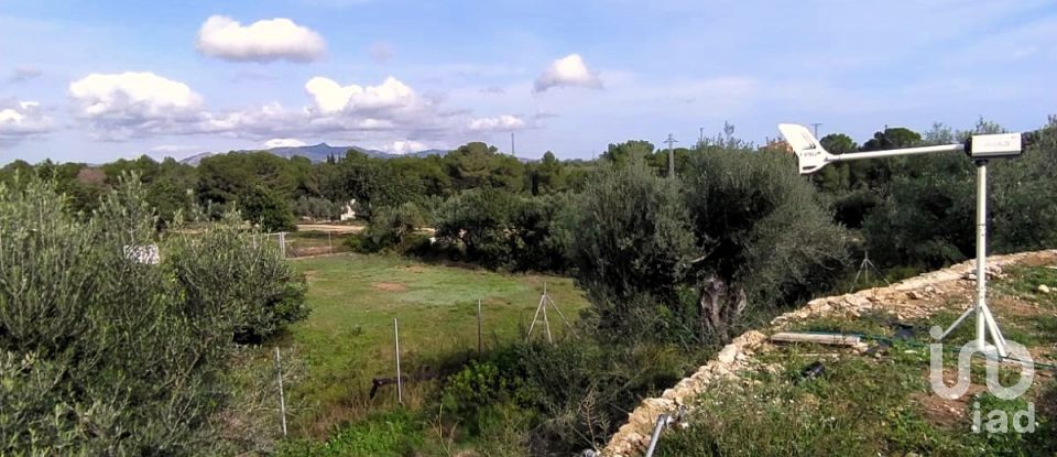 Land of 49,351 m² in L'Ametlla de Mar (43860)