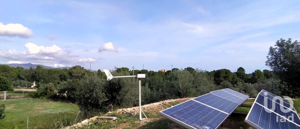 Land of 49,351 m² in L'Ametlla de Mar (43860)