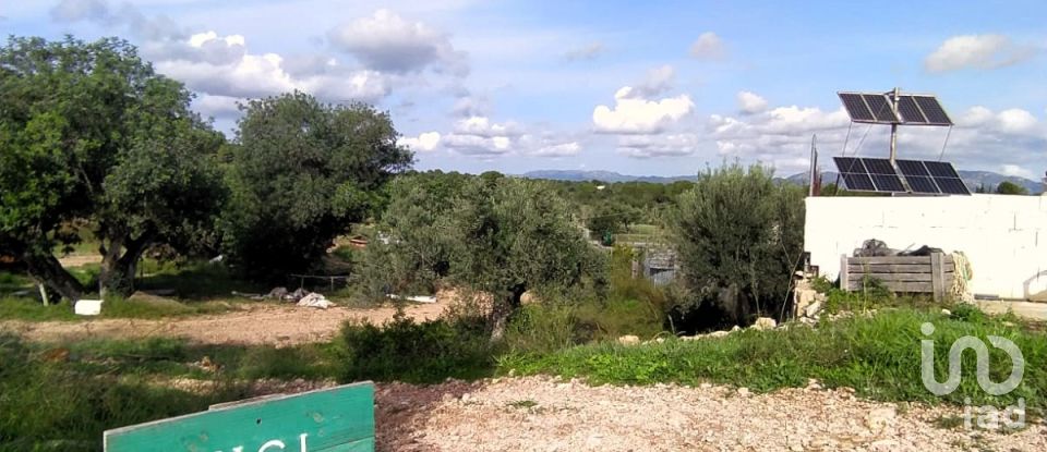 Land of 49,351 m² in L'Ametlla de Mar (43860)