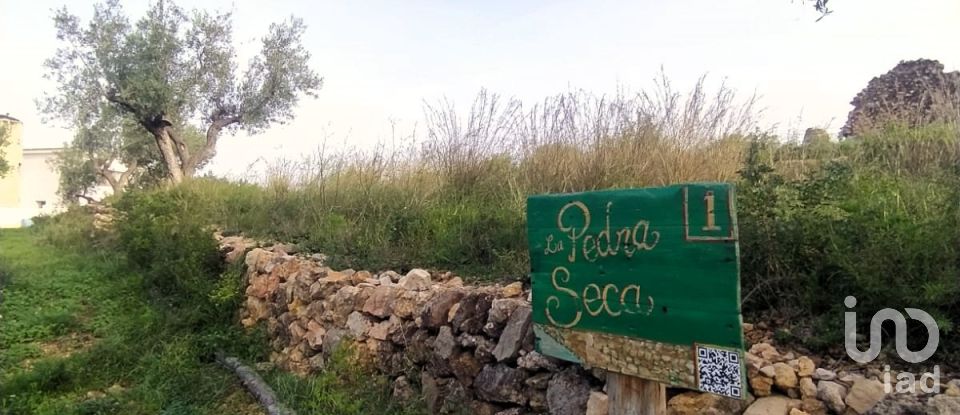 Land of 49,351 m² in L'Ametlla de Mar (43860)