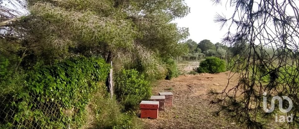 Land of 49,351 m² in L'Ametlla de Mar (43860)