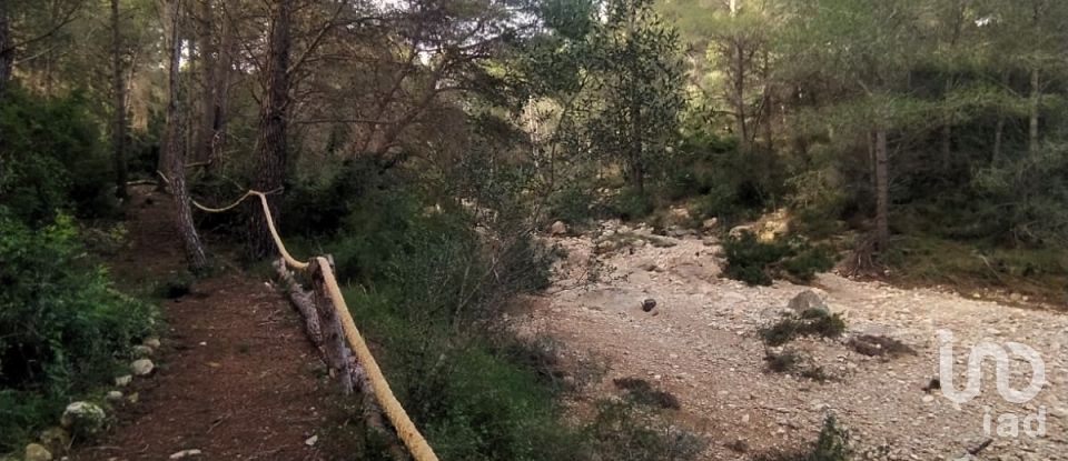 Land of 49,351 m² in L'Ametlla de Mar (43860)