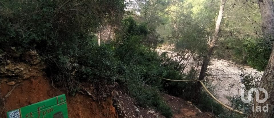 Land of 49,351 m² in L'Ametlla de Mar (43860)