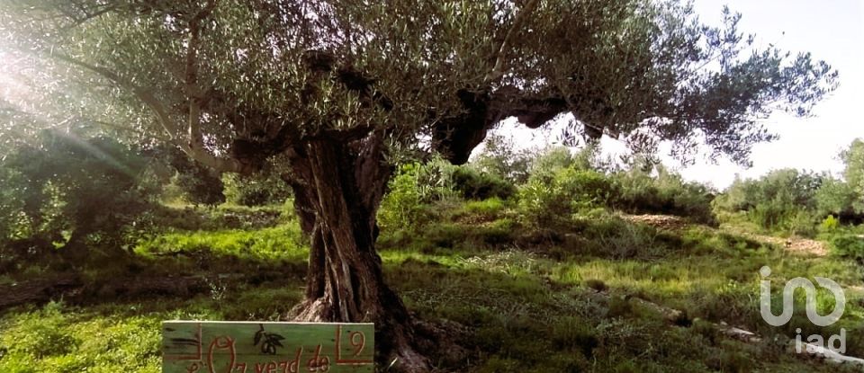 Land of 49,351 m² in L'Ametlla de Mar (43860)