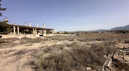 Land of 2,850 m² in Urbanización Valle del Sol (03110)