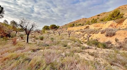 Land of 9,238 m² in Agost (03698)