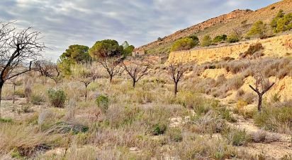 Land of 9,238 m² in Agost (03698)